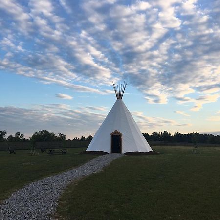 Dreamcatcher Glamping Tipi Hotel Farmville Zewnętrze zdjęcie