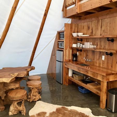 Dreamcatcher Glamping Tipi Hotel Farmville Zewnętrze zdjęcie