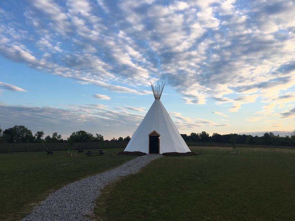 Dreamcatcher Glamping Tipi Hotel Farmville Zewnętrze zdjęcie